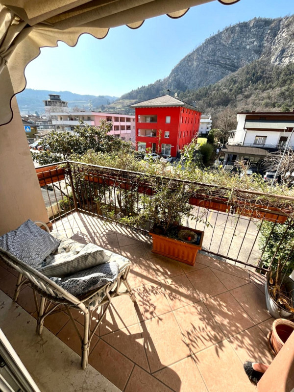 Insert alt text here