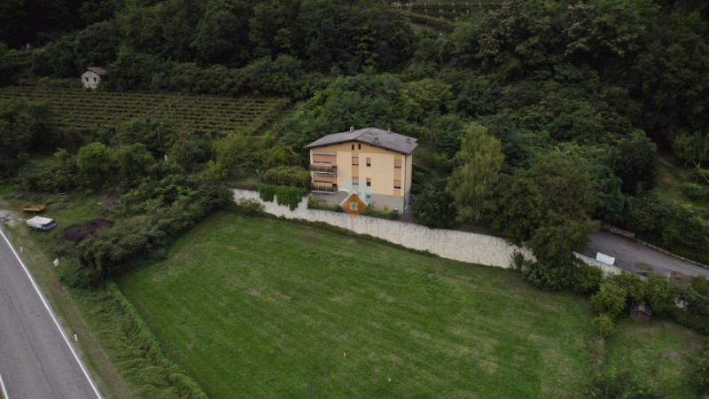 Insert alt text here