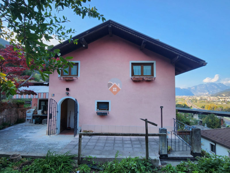 Insert alt text here