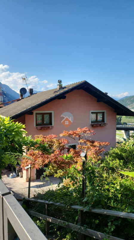 Insert alt text here