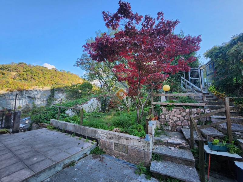 Insert alt text here