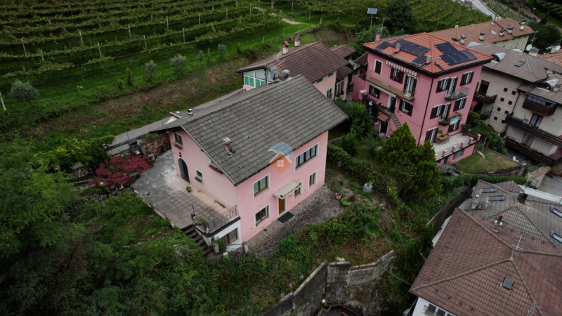 Insert alt text here