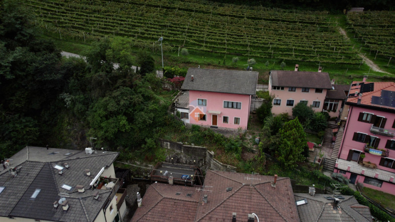 Insert alt text here