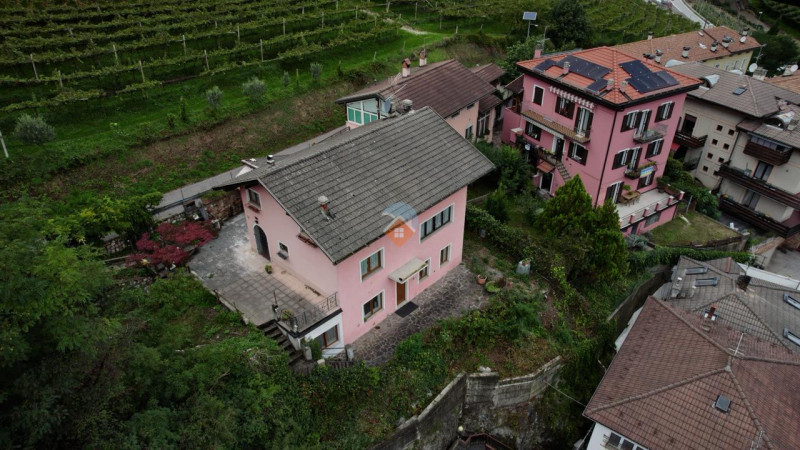 Insert alt text here