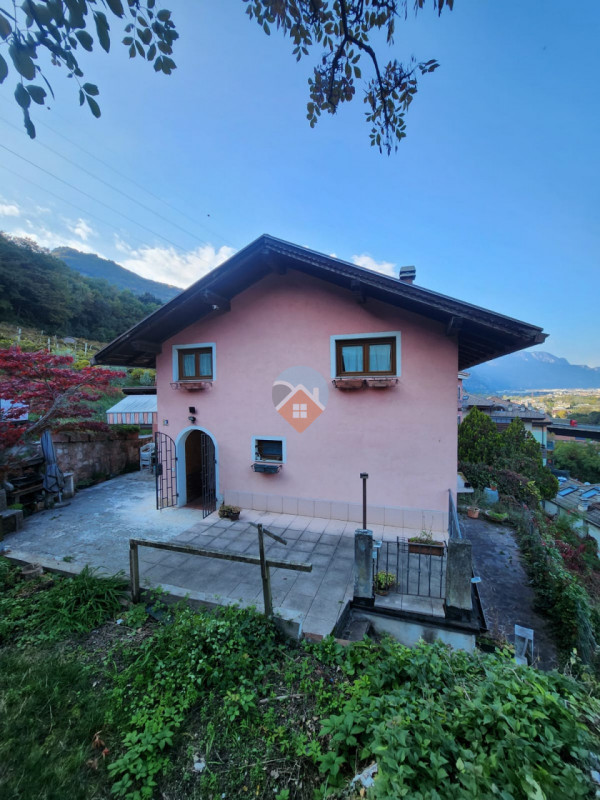 Insert alt text here