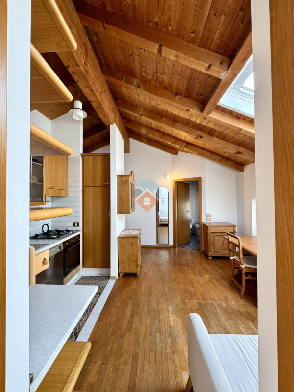 Insert alt text here