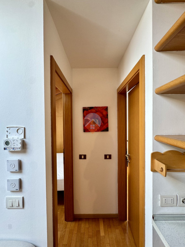 Insert alt text here