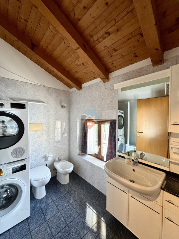 Insert alt text here