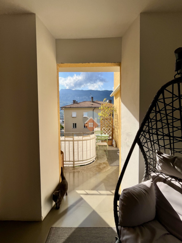 Insert alt text here