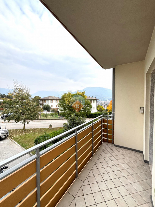 Insert alt text here