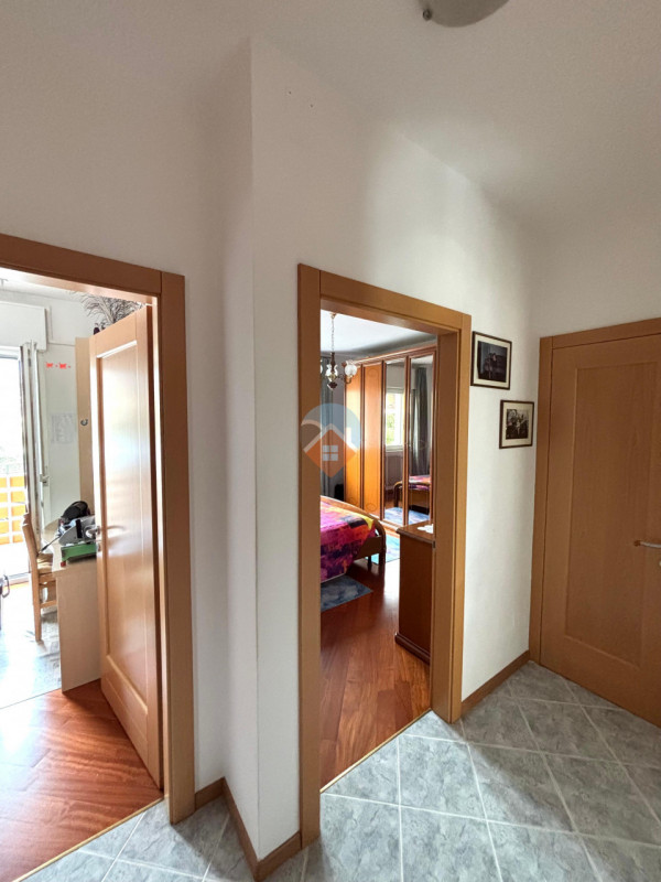 Insert alt text here