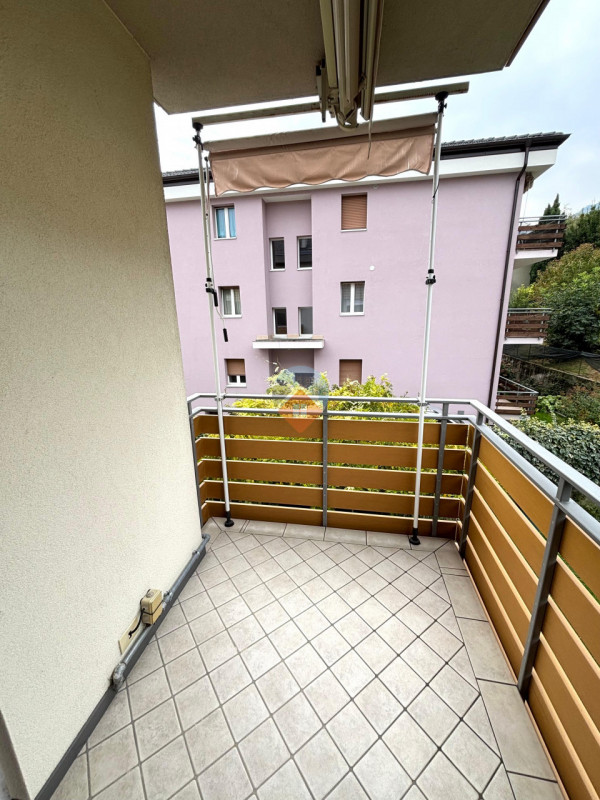 Insert alt text here