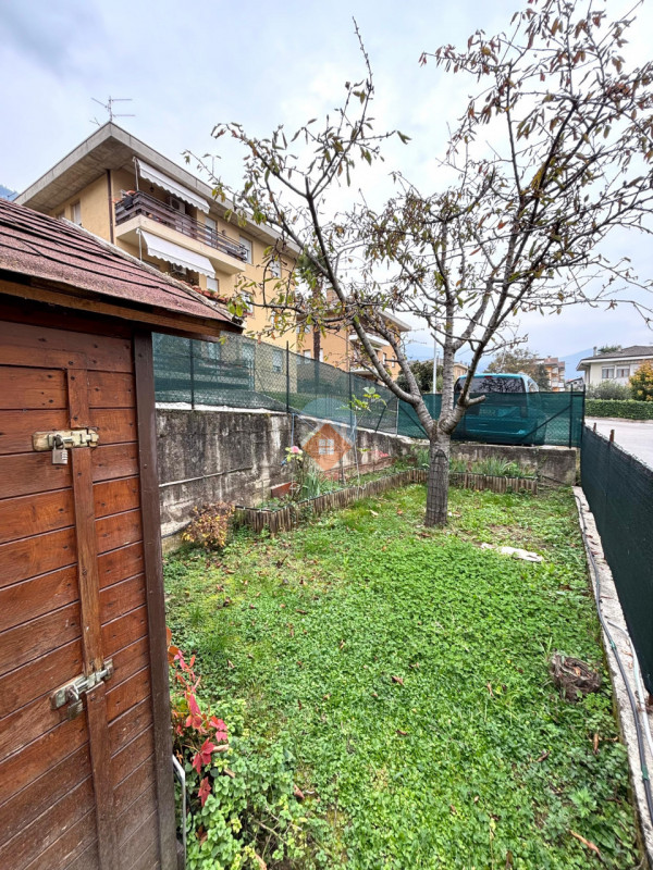 Insert alt text here