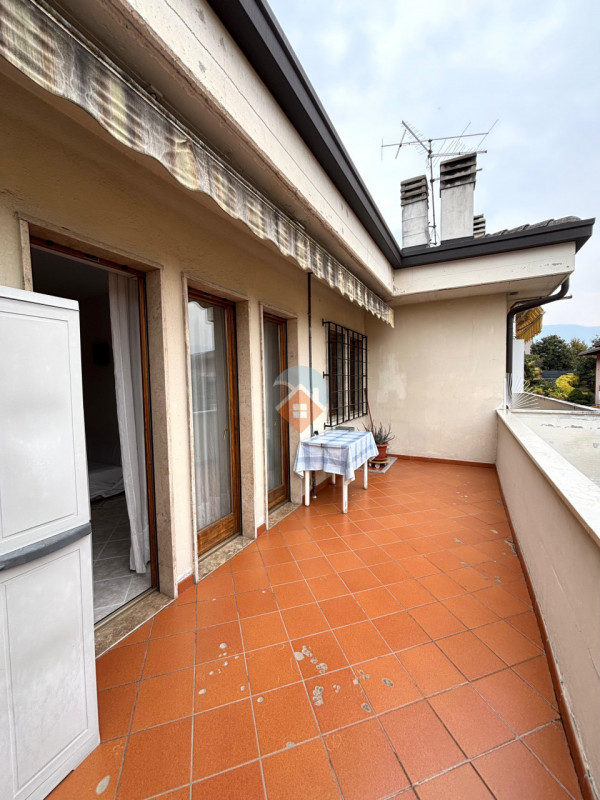 Insert alt text here