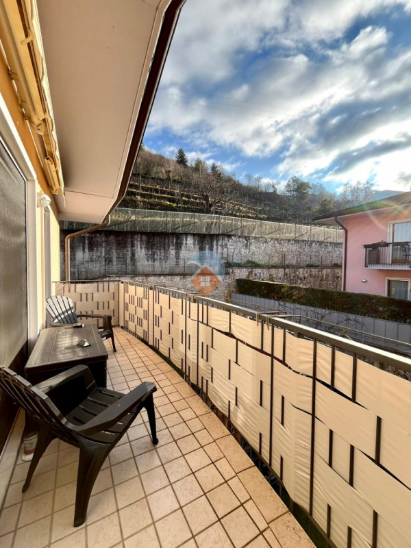 Insert alt text here