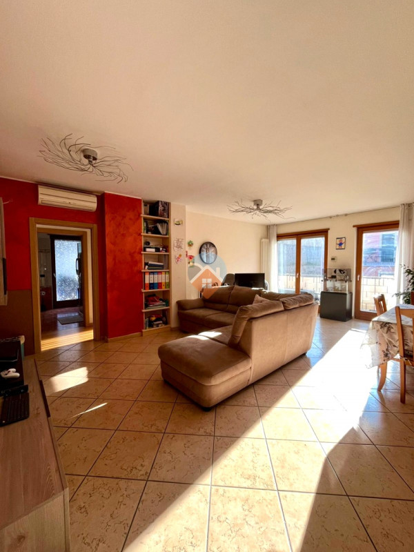 Insert alt text here