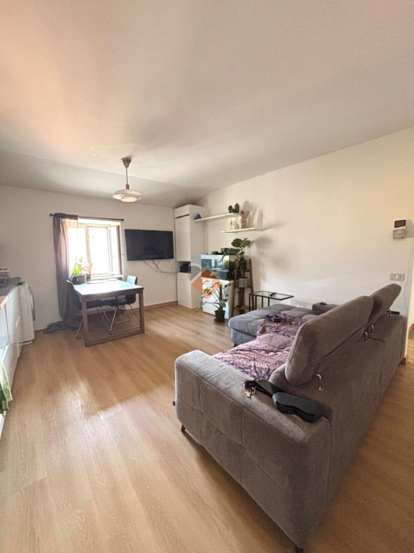 Insert alt text here