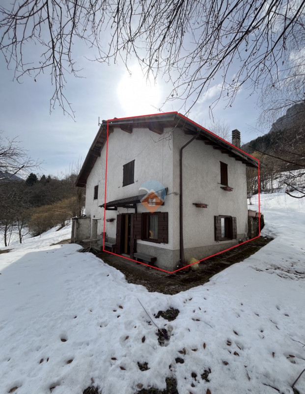 Insert alt text here