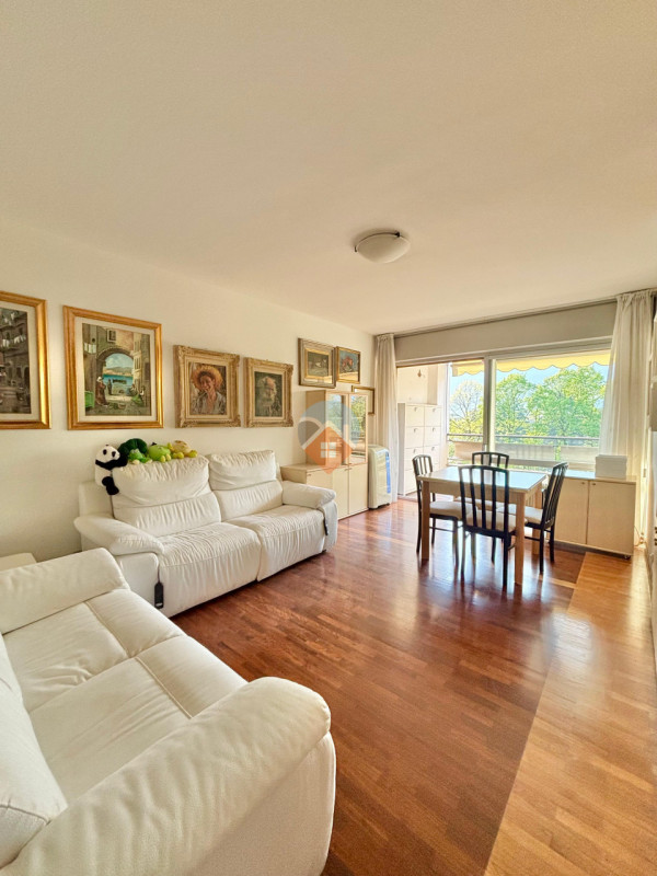 Insert alt text here